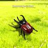 1/3Pcs Simulation Animals Home Desk Decoration Accessory Laser Dazzle Clockwork Big Beetle Model Unique Kids Gift Idea
