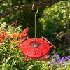 Hummingbird Feeder with Perch Compact Vibrant for Garden