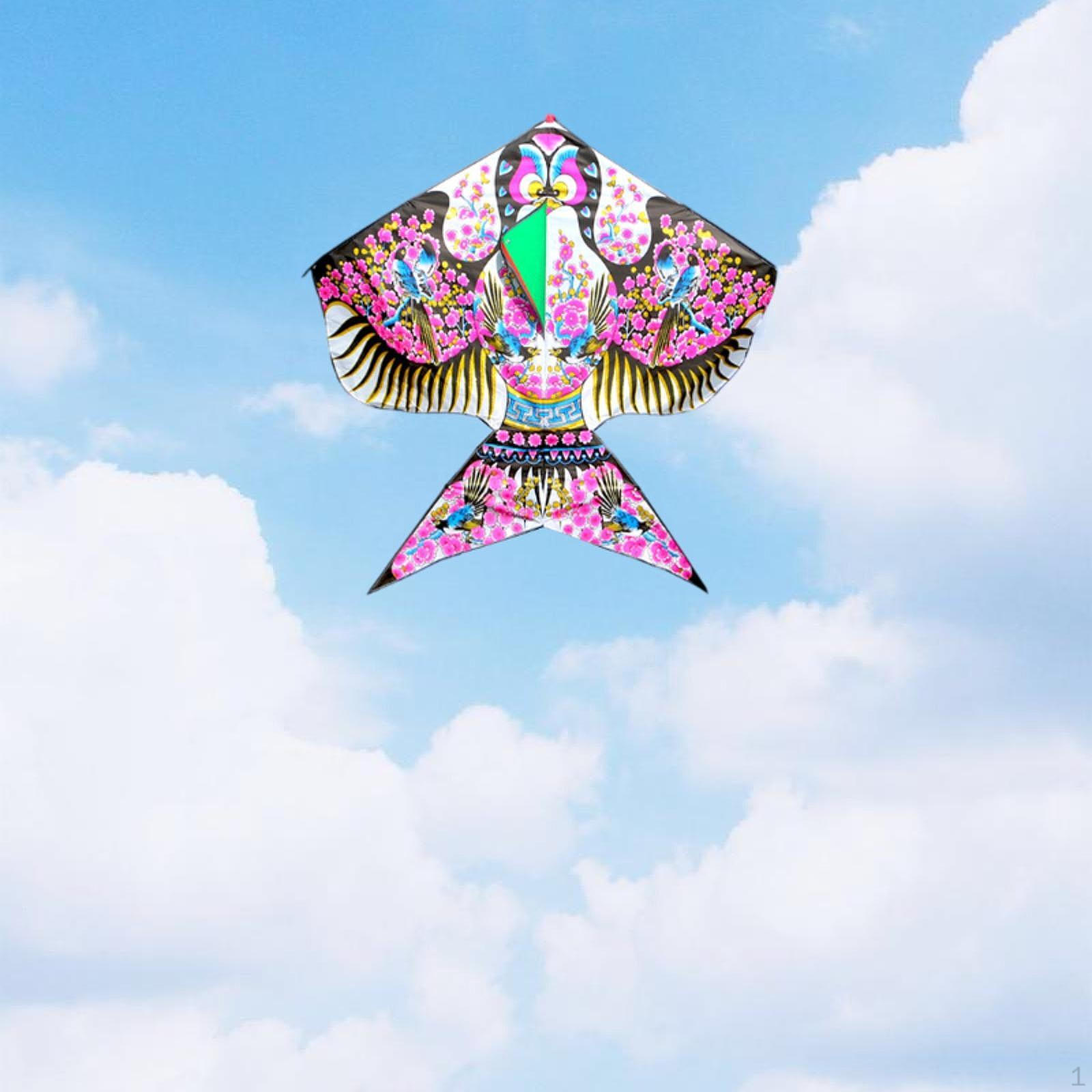 

Огромный воздушный змей в форме мультфильма, большие гигантские воздушные змеи, игра на открытом воздухе для семейных вечеринок на лужайке, на заднем дворе 165x180cm