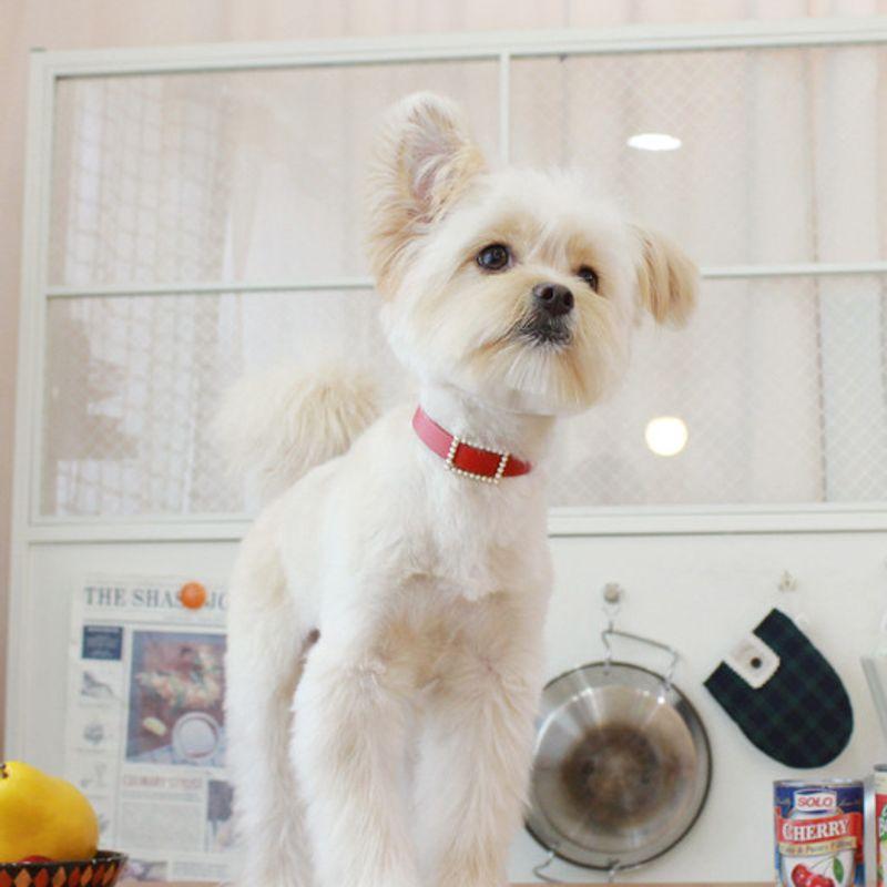 MA MAISON Collier Perle Carrée_Rouge