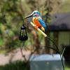 Creative New Solar Bird Lantern, Outdoor Landscape Light, Iron Art Craft for Garden, Patio and Lawn Decoration