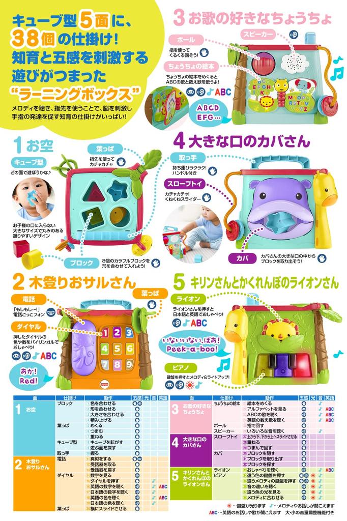 Fisher-Price Bilingvální vzdělávací krabice [6 měsíců a více] [Vzdělávací, anglický a cizí jazyky] [Dárek] DNY97