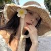 Lace Big Brim Straw Hat Women's Summer Seaside Beach Shade Sunscreen Hat Straw Cover Full Face UV Protection Hat