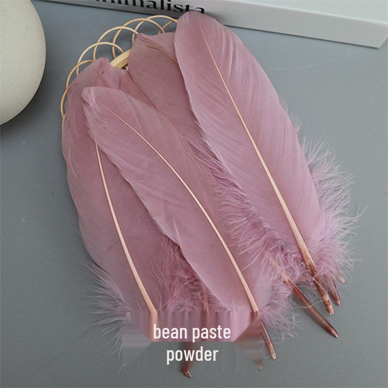 Barevná barvená velká husí pera pro DIY řemesla, ručně vyráběné dekorace a projekty pro mateřské školy