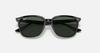 Sunglasses RB4362F BLACK 55 Ray-Ban