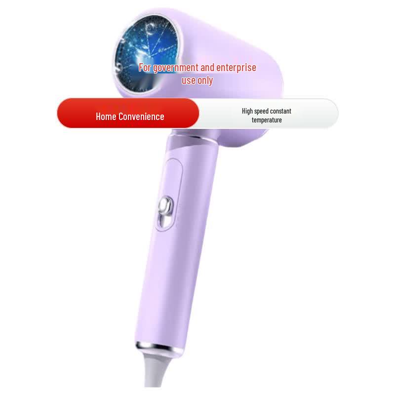 Liven Hair Dryer