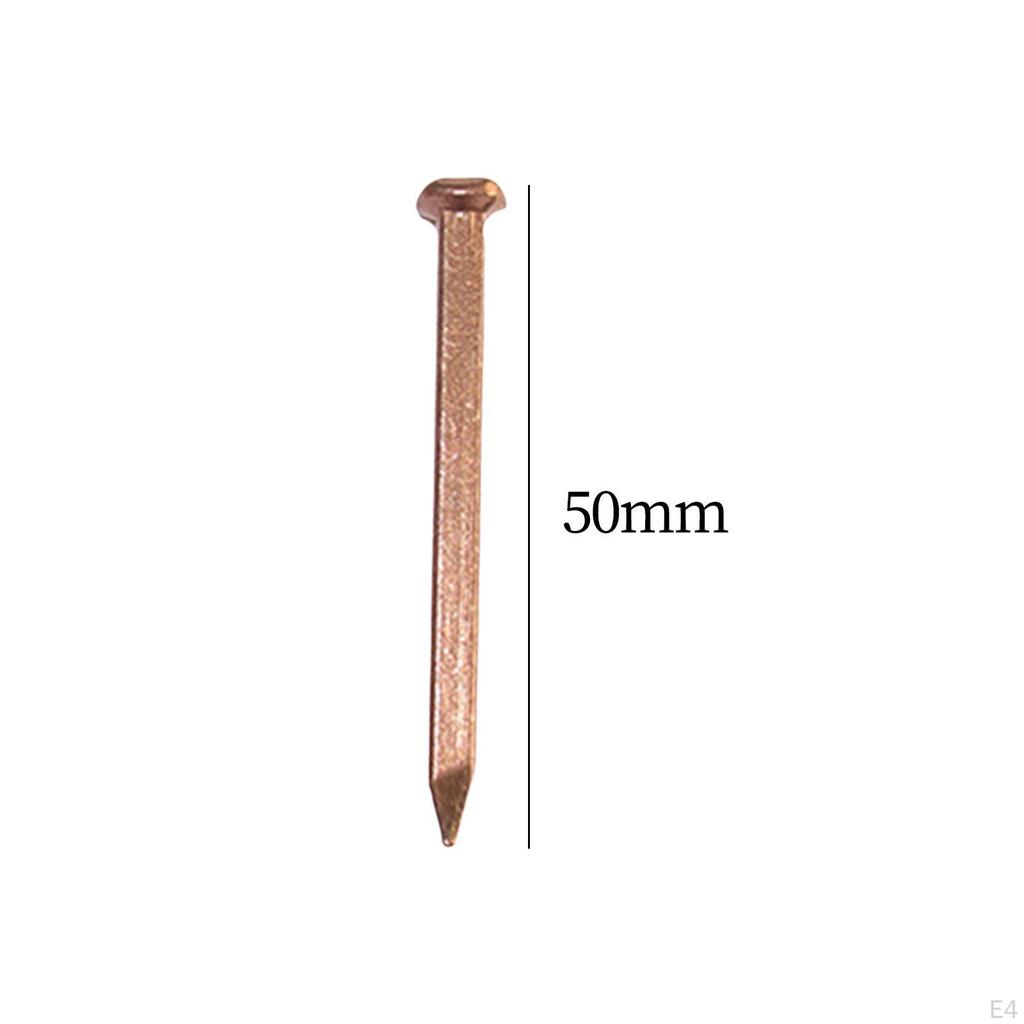 10 Pack Copper Nails for Home Projects And Landscaping Slate Spikes