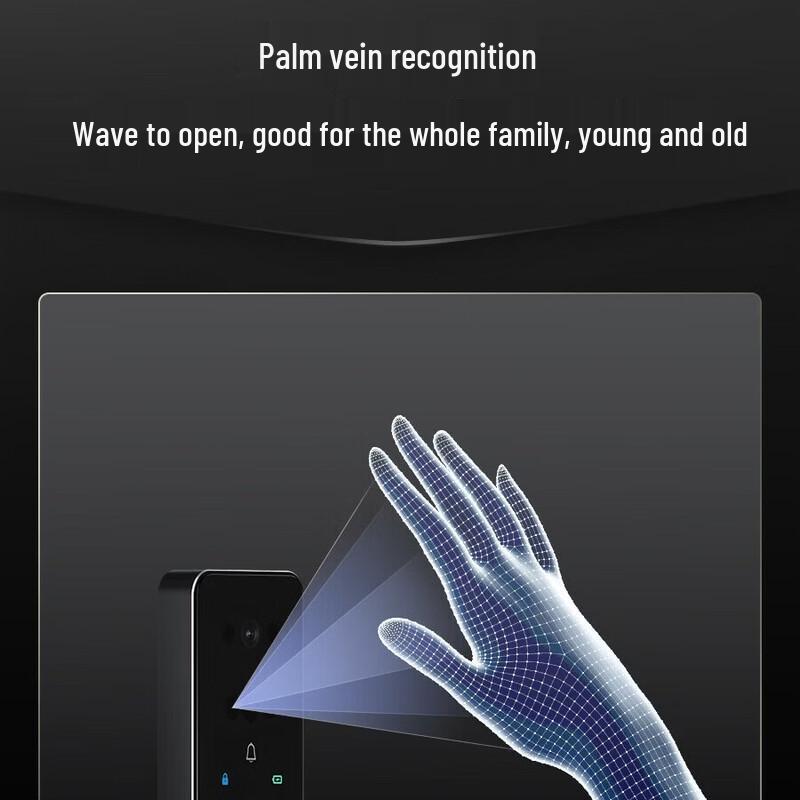 DESMAN Q2FV Facial Recognition Smart Door Lock