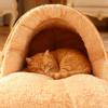 Dog Bed Soft Semi-Enclosed House Comfortable Pet Cave Sack For Kitten Doggy Sleeping Home Travel Living Room Bedroom Floor
