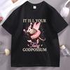 It Is I Your Fairy Godpossum Graphic T Shirts Funny Opossum Spirit Animal TShirt Cotton Short Sleeve Unisex Women Round Neck Tops