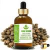 Pure Herbs Piemento Berry (Pimenta Dioica) Pure & Natural Therapeutic Grade Essential Oil Glass