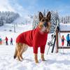 Extra Large High Neck Knitted Dog Sweater with Legs for Autumn/Winter (4XL-5XL)
