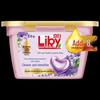 Liby Master Fragrance Rose Laundry Detergent & Pods Set
