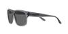 Sunglasses EA4197F TRANSPARENT GREY GREY Lens 57 [Emporio Armani] Frame/DARK