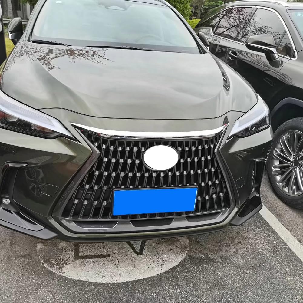 RUIQ Lexus New 20 Series Hood and Front Grille Specially Designed for the LEXUS NX NX250/NX350/NX350h/NX450h+ Chrome-Plated Garnish,