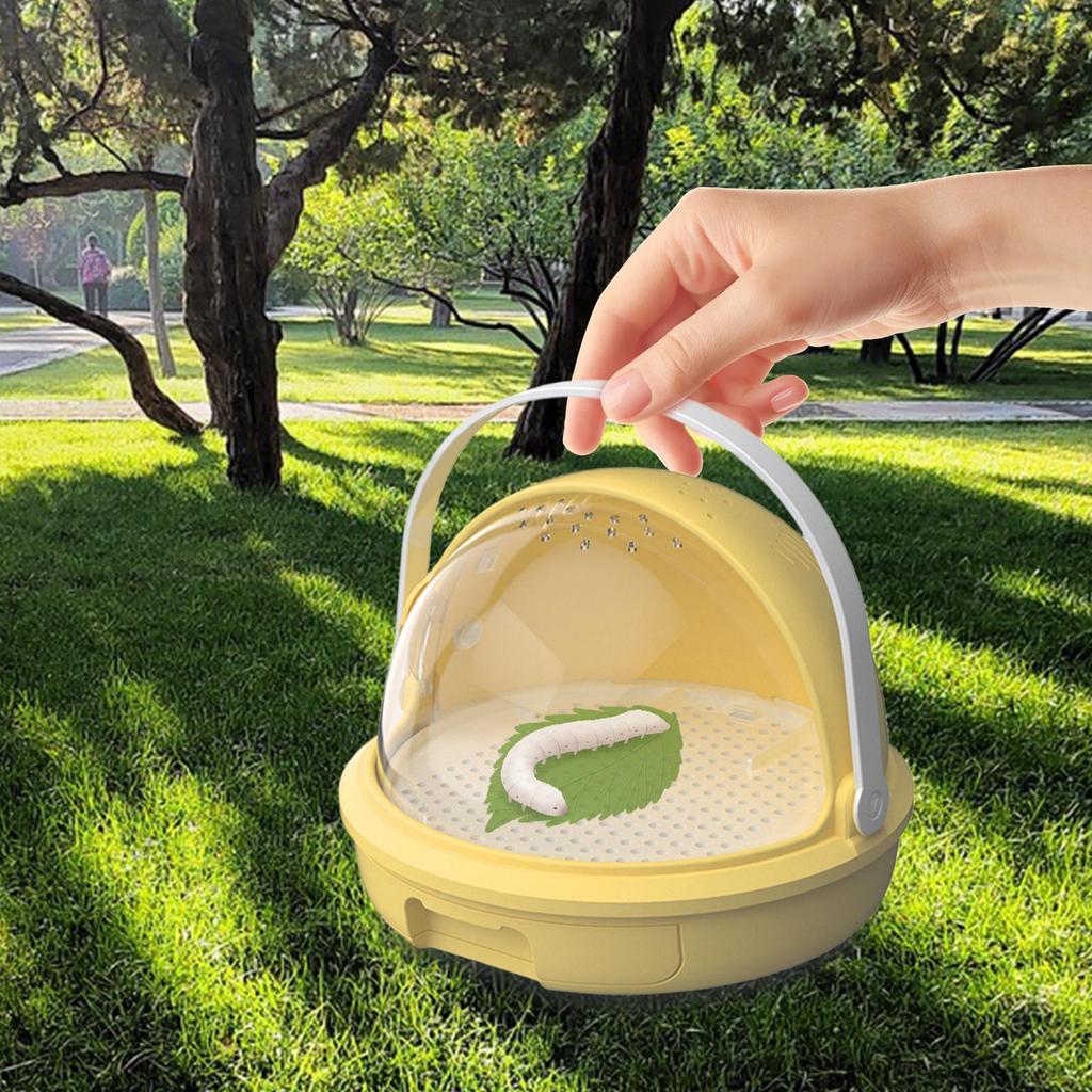 Silkworm Breeding Box Transport Container Multifunctional Easy Clean Sturdy Learning Container Observation Cabin Feeding Box