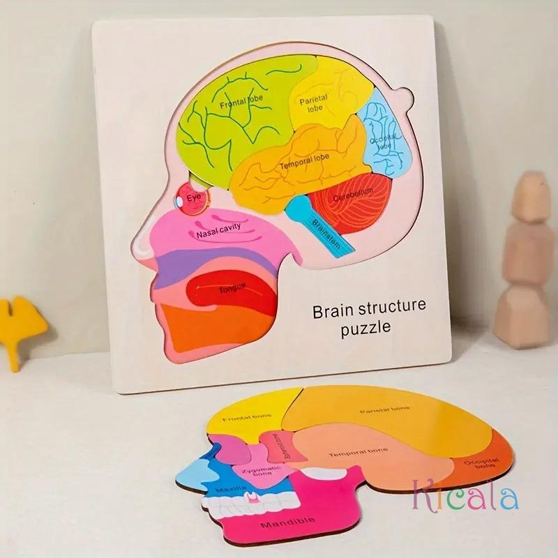 Età 3+ Gioco Puzzle Educativo in Legno sull'Anatomia del Cervello Giocattolo Educativo Cognitivo Multicolore per la Scienza Precoce Giocattoli Montessori