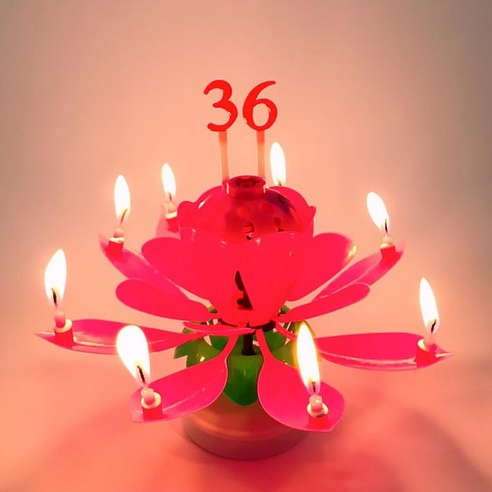 STOLIVING Birthday Lotus Melody Candle with Number Toppers 19-Piece Party Set