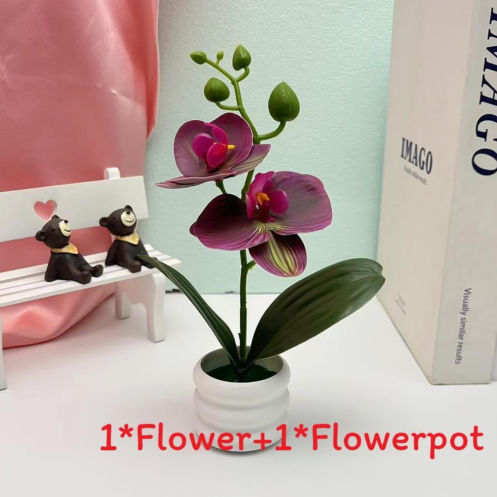 Flower Phalaenopsis Potted For Event Decor And Indoor Home Embellishment