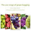 100Pcs Drawstring Style Grape Protect Bag Fruit Protection Bags Mesh Bag Against Insect Pouch Waterp Mini Greenhouse