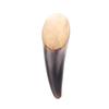 Buffalo Horn Gua Sha Massage Tool  for Muscle Tension Face and Body Scraping Board Suitable for Home Spa