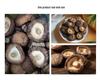 Genuine Northeast Linden Wood Shiitake Mushrooms - Changbai Mountain Farmhouse Specialty