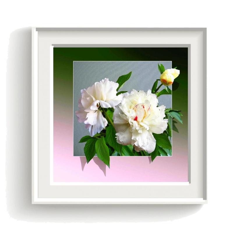 Diamond Paiting Flower Diamond Painting 5D Cross-Stitch Diamond Art Painting Kits