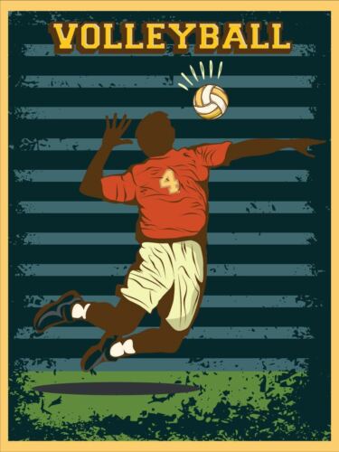 Vollyball Vintage Retro Metal SignAluminum 20x30cm（7.8x11.8inch）