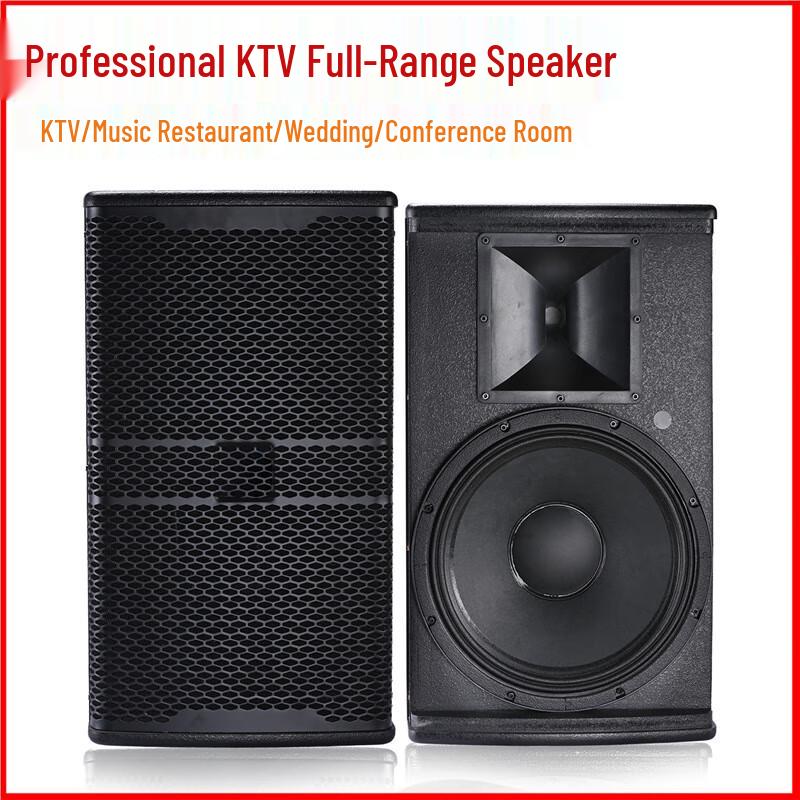CTRLPA Professional Full-Range Speaker