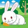 Kumon Jigsaw Puzzle STEP1 Favorite Animals JP-11