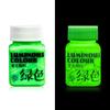 Glow in the Dark Paint,Acrylic Paint for Decorations,Art Painting Rich Pigments