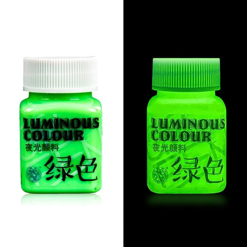 Glow in the Dark Paint,Acrylic Paint for Decorations,Art Painting Rich Pigments