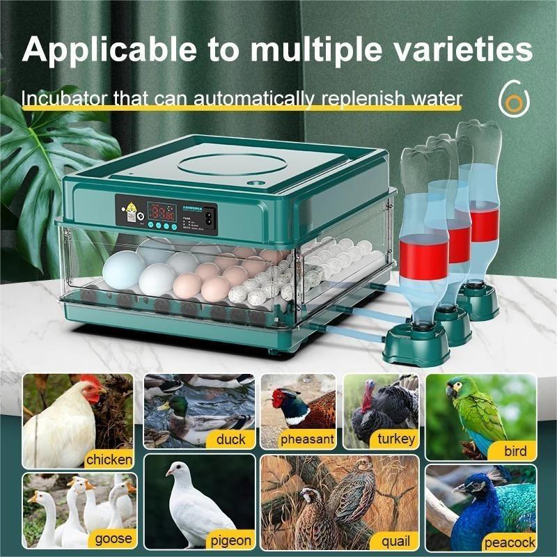 9/15 Mini Egg Hatching Tool Drawer Type Fully Automatic Intelligent Waterbed Replenishment & Temperature Control Eggs Incubator New