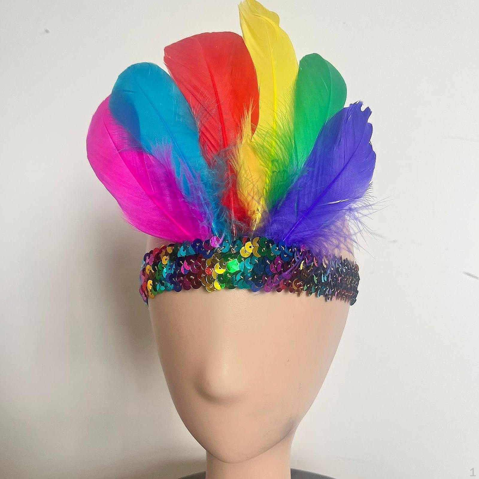 

Перо Головной убор Украшение Головной убор для вечеринки Танцевальное шоу Сценическое шоу Косплей Multicolor