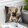 Vikama French Bulldog Realistic-Style Pillowcase Soft Comfortable Smooth Sofa Decor Cute Pet-Themed Home Cushion Cover