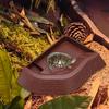 Aquarium Decoration with Ramp for Tortoise Feeding and Bathing