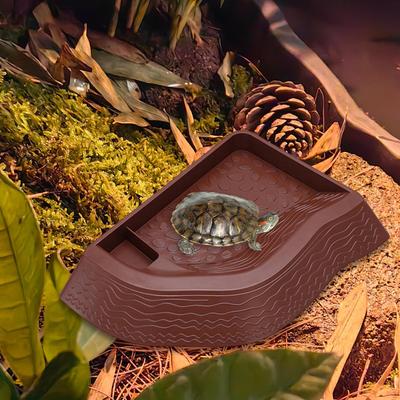 Reptiler – Terrarium