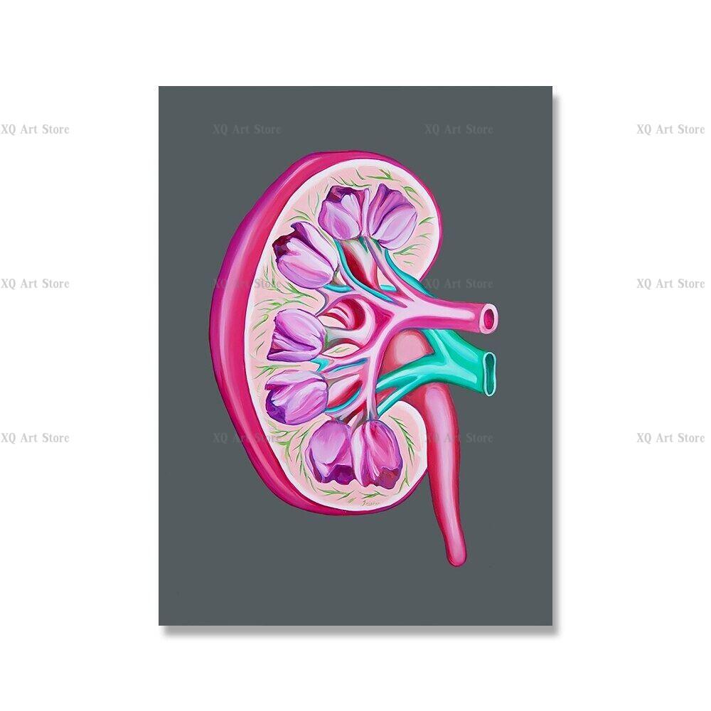 

Квітка Анатомія людини Художній принт Серце Мозок Нирки Матка Грудна клітка Печінка Легені Скелет Щитовидна залоза Горло Картини та принти на полотні 50x70cm No Framed
