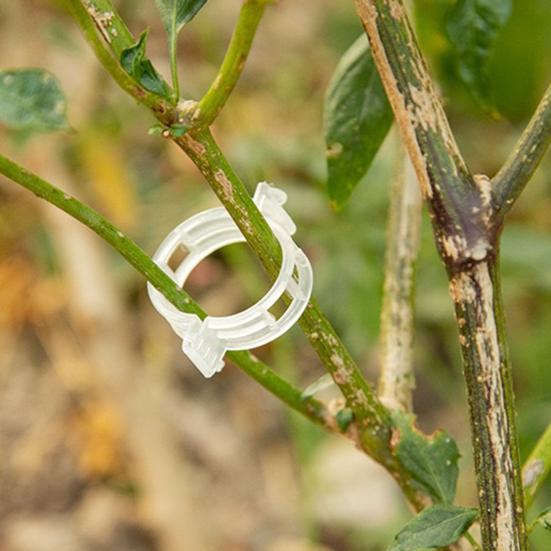 100 de bucăți cleme de susținere a plantelor, care economisesc forța de muncă, cleme de fixare agățate din plastic de lungă durată pentru casă