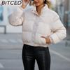 BITCED Autumn/Winter Women's Short-Length Cotton Coat Women's Long-Sleeved High-Neck Thermal Jacket Loose-Fit Casual Cotton Coat