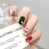 24Pcs/set Christmas Snowflake Christmas False Nails Christmas Fake Nail Extension  Manicurist