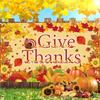 2D Autumn Harvest Turkey and Pumpkins Photo Background