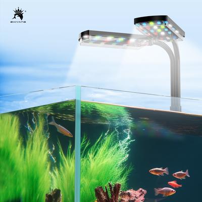 Fische & Meerestiere – Aquarienbeleuchtung