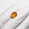 Stone Natural Fossil Amber with Insect Specimen of a 11x8x6mm [N2 Natural] - (35 "One Kind" [Amber Approx. 0.3g, Insect Approx. 1mm])