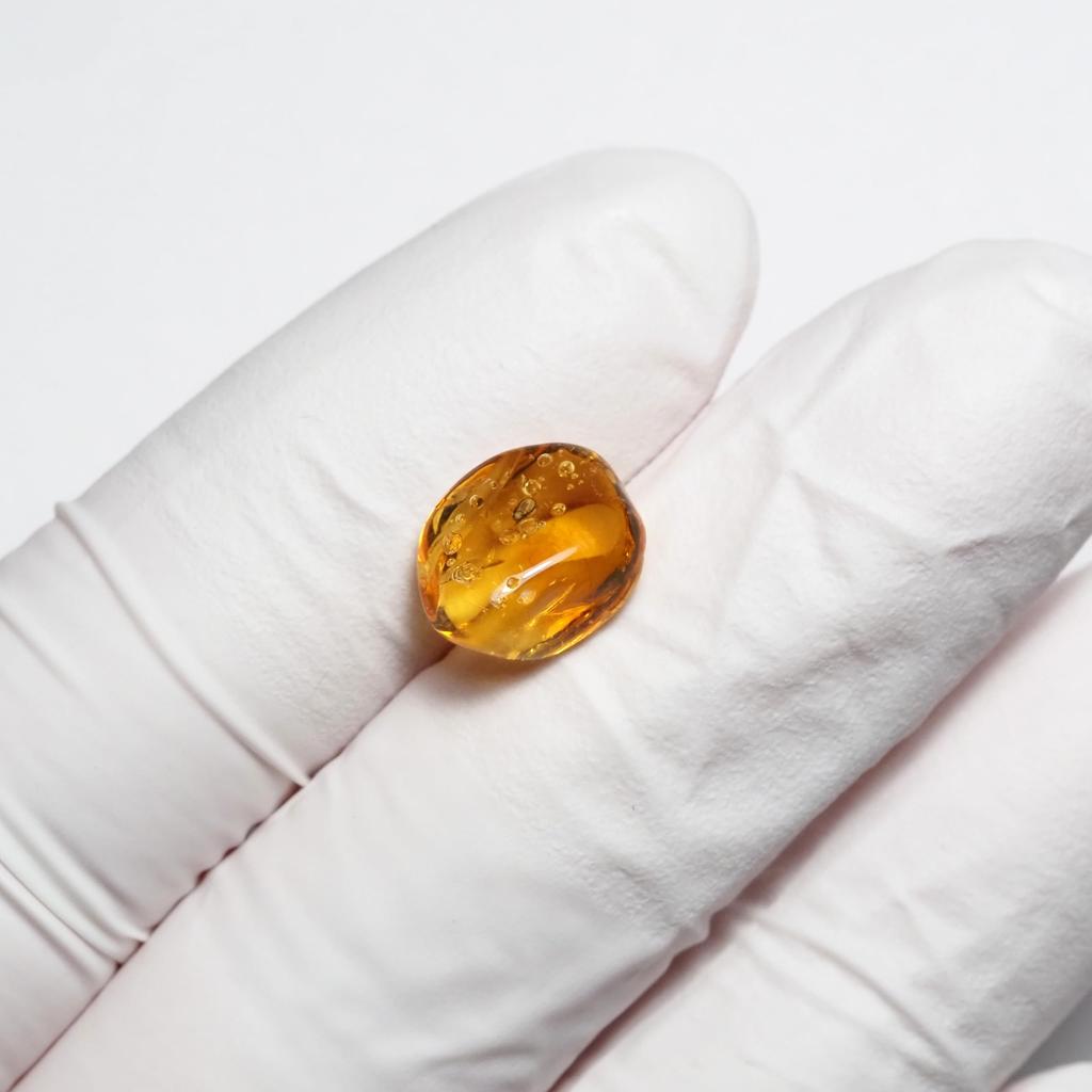Stone Natural Fossil Amber with Insect Specimen of a 11x8x6mm [N2 Natural] - (35 "One Kind" [Amber Approx. 0.3g, Insect Approx. 1mm])