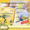 Товари для ванної кімнати та вбиральні – Засоби для чищення та освіжувачі для вбиралень