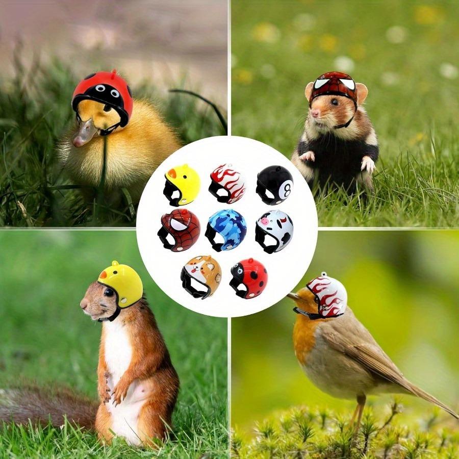 Casco Regolabile Elastico per Galline - Cappello di Sicurezza per Uccelli, Costumi per Animali Domestici per Galline/Pappagalli/Pappagallini e Pulcini Piccoli