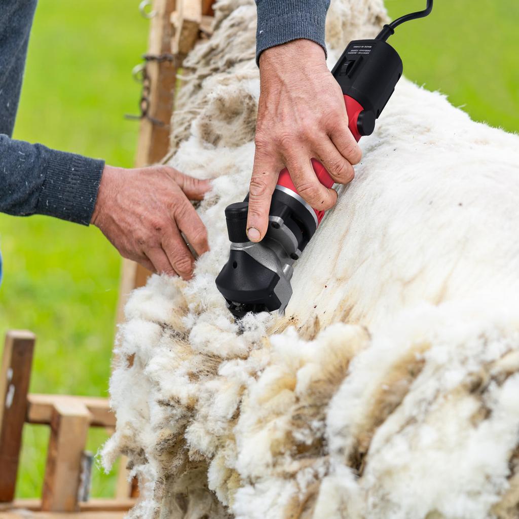 1450W Electric Sheep Shear Heavy Duty Sheep Clippers 6 Speeds 2800rpm with 13 Teeth Blade Suitable for Sheep, Goats, Camels