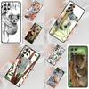 Fashion Korean Koala Dinotaeng Cell Phone Case for Samsung Galaxy S26 Ultra S25 S24 S23 S22 S21 S20 Note10 Cover