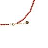 Luxenter Necklace with Multi-colored Crystal 18k Gold Finish - Ney